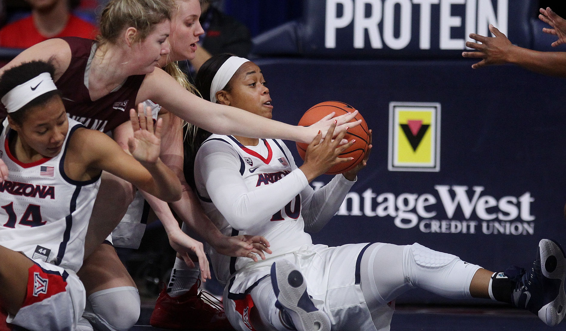 Arizona Wildcats 100, Montana Grizzlies 51